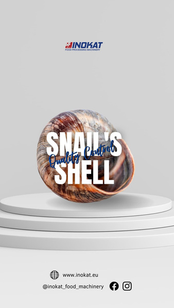 INNOVATIVE SOLUTIONS FOR THE PROCESSING AND PACKAGING OF SNAILS   Photo 5