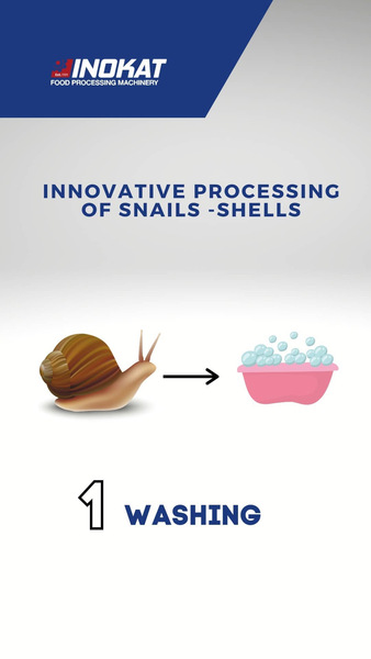 WATCH THE STEPS OF SNAIL PROCESS Photo 2