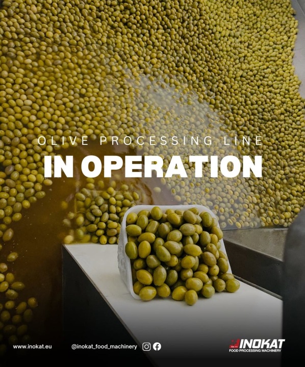 Photo OLIVE PITTING DEACON LINE  