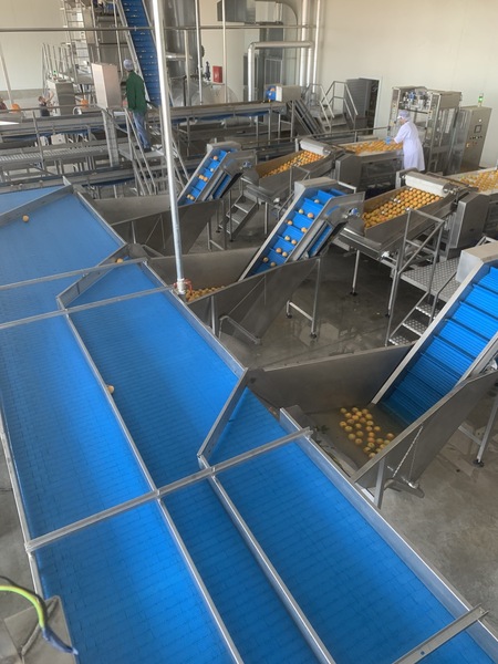 PROCESSING LINES FOR PEACH - APRICOT - CHERRY   Photo 11