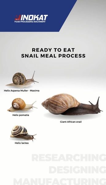 WATCH THE STEPS OF SNAIL PROCESS Photo 1