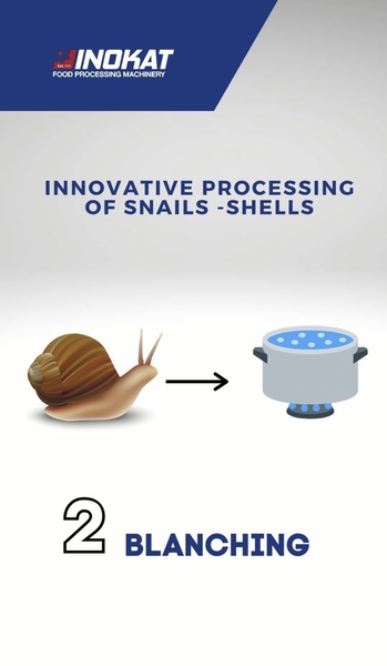 WATCH THE STEPS OF SNAIL PROCESS Photo 3