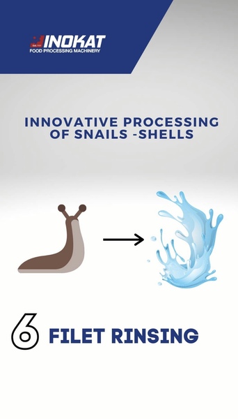 WATCH THE STEPS OF SNAIL PROCESS Photo 7