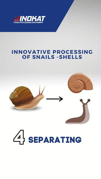 WATCH THE STEPS OF SNAIL PROCESS Photo 5