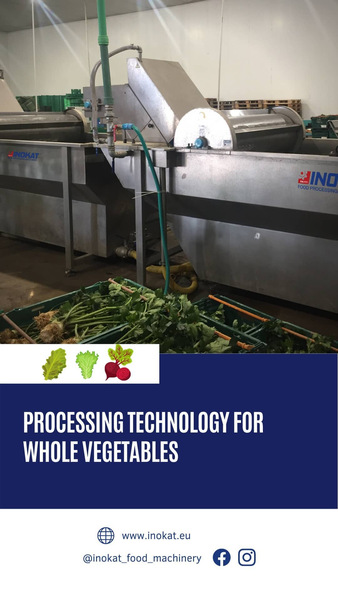 PROCESS LINES FOR VEGETABLES (WHOLE - CUT)   Photo 4