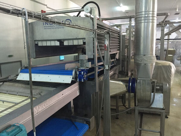 FREE FLOW HYDROCOOLER FOR FRUIT - VEGETABLES IN PROCESSING LINE   Photo 12