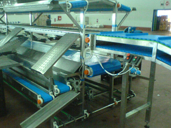 PRODUCT SELECTION AND PACKAGING BELTS  

